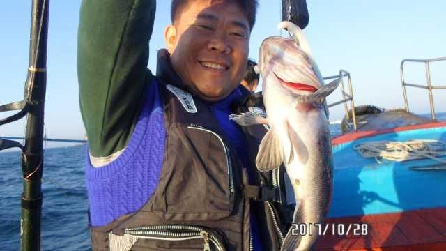 28일 조항 사진 4