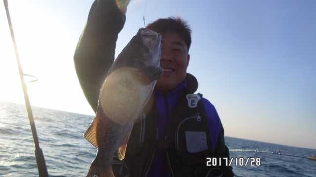 28일 조항 사진 6