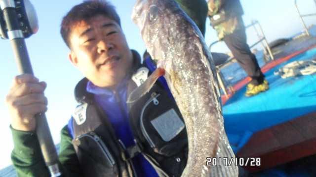 28일 조항 사진 8