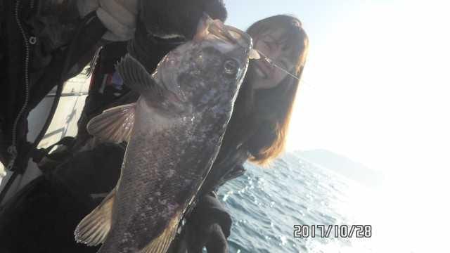 28일 조항 사진 10