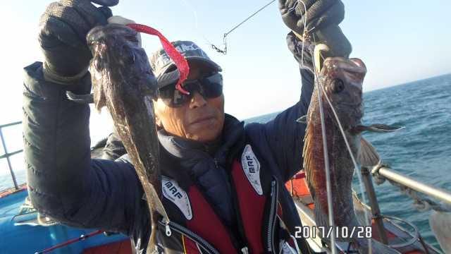 28일 조항 사진 11