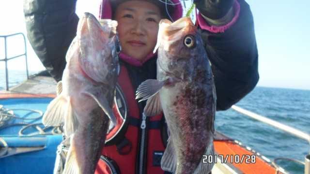 28일 조항 사진 12