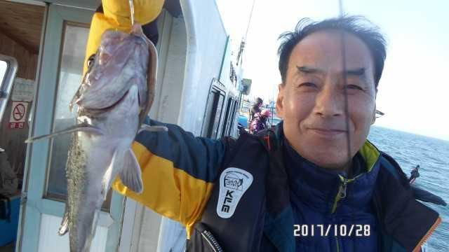 28일 조항 사진 13