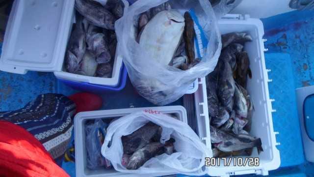 28일 조항 사진 1