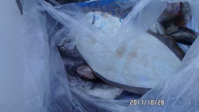 28일 조항 사진 20