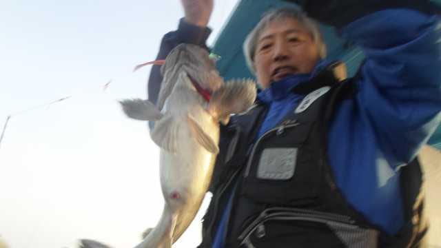 4월 26일 굿 조항 사진 9