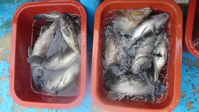 20일조항 사진 6