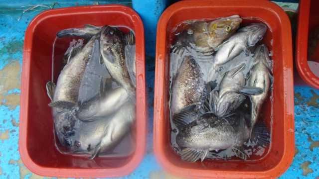 20일조항 사진 7