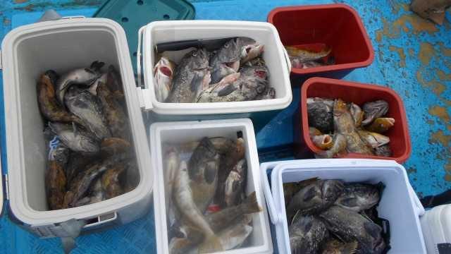22일단체조항 사진 1
