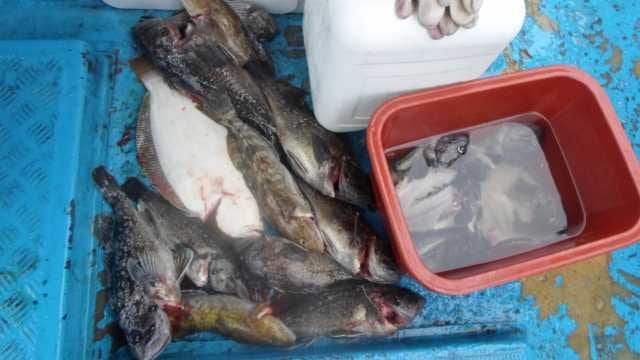 22일단체조항 사진 12