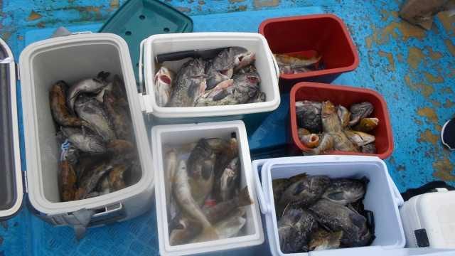 22일단체조항 사진 18