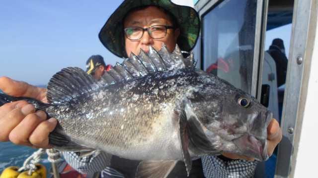 25일 조항 사진 1
