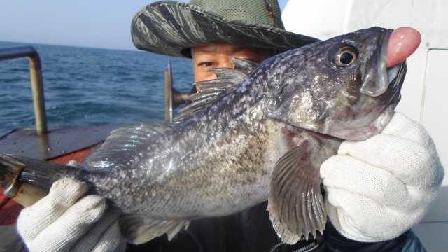 25일 조항 사진 4