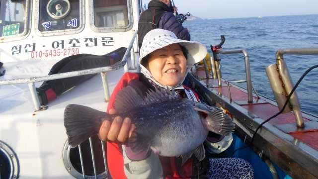 25일 조항 사진 5
