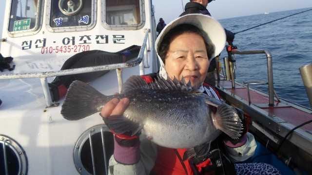 25일 조항 사진 6