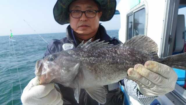 25일 조항 사진 10