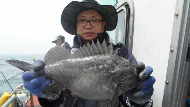 25일 조항 사진 18