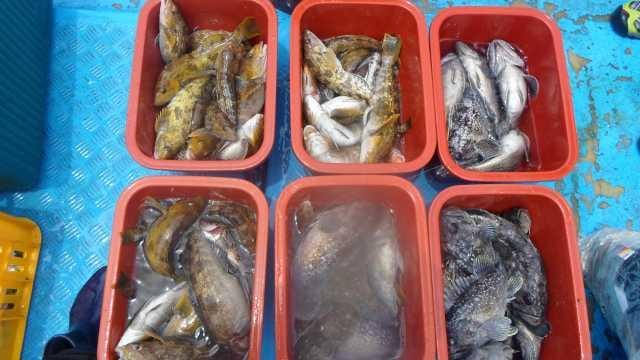 6월9일 11분 단체조항굿 사진 15