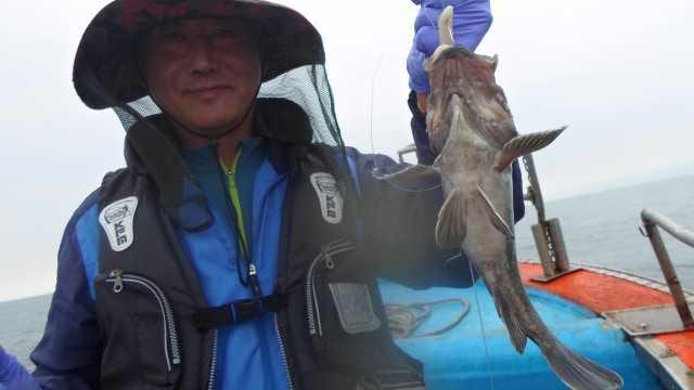 10일 조황 사진 9
