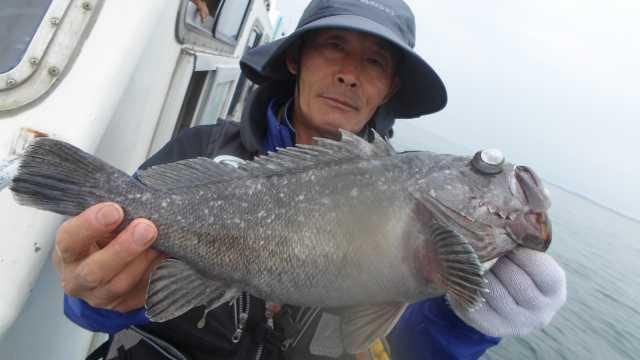 10일 조황 사진 11