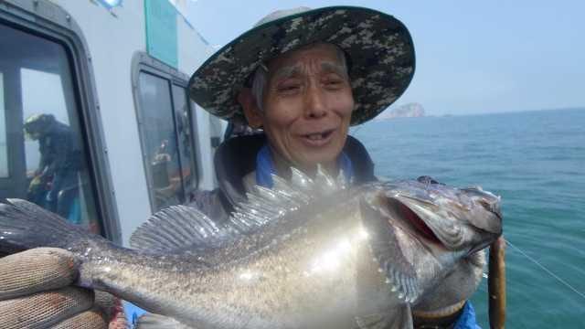 6월20일조항 사진 10