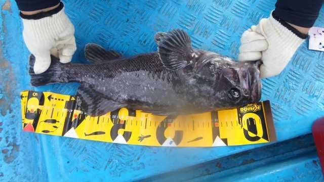 23일단체조항 사진 9