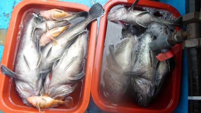 23일단체조항 사진 1