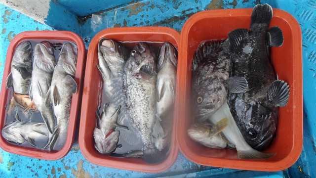 23일단체조항 사진 14