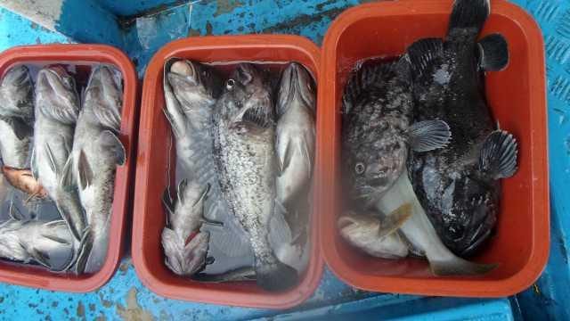 23일단체조항 사진 2