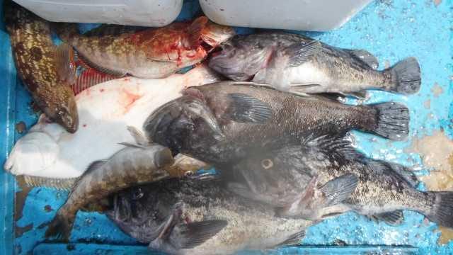 23일단체조항 사진 15