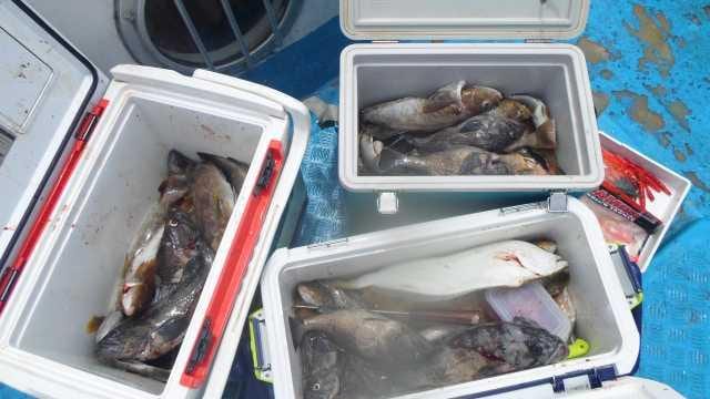 8일 조항 사진 2