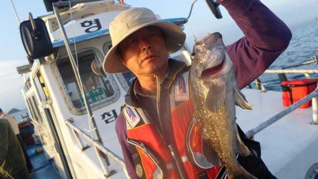 8일 조항 사진 4