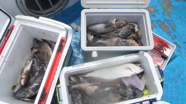 8일 조항 사진 1