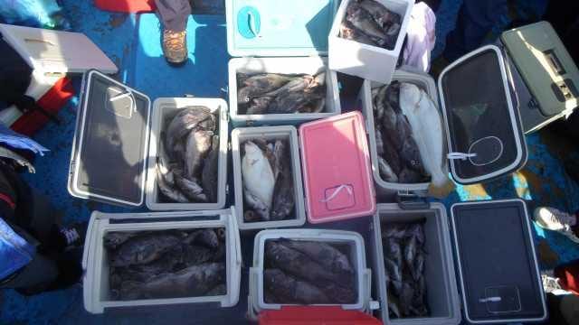 20일 단체조항 굿2부 사진 10
