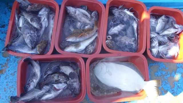 11얼3일 단체조항 사진 1