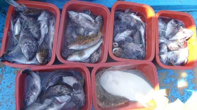 11얼3일 단체조항 사진 14