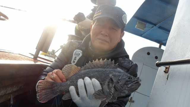 11월11일 놀리팀조항 사진 1