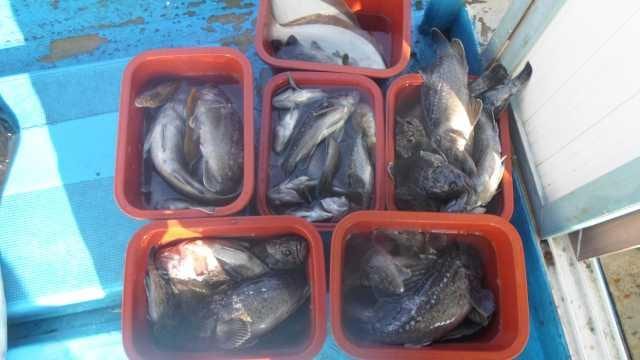 14일 부부동반놀리팀 사진 19