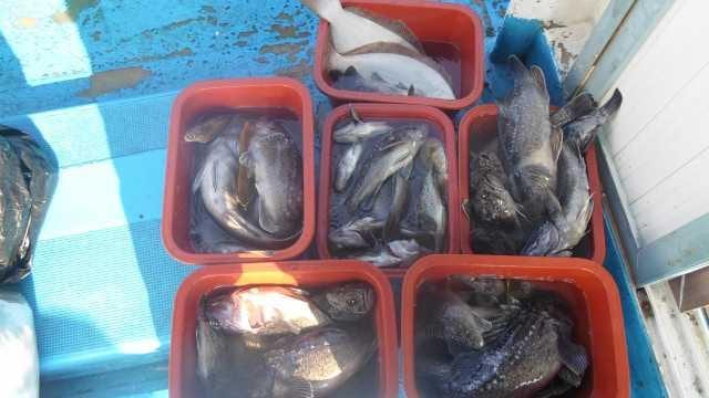 14일 부부동반놀리팀 사진 1