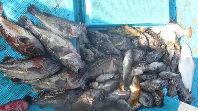 14일 부부동반놀리팀 사진 20