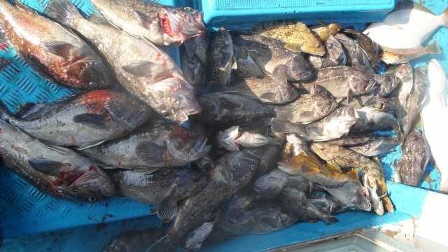 14일 부부동반놀리팀 사진 23