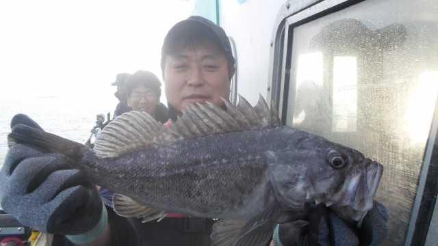 15일6명조항 사진 4