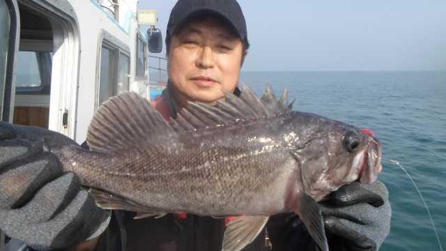 15일6명조항 사진 8
