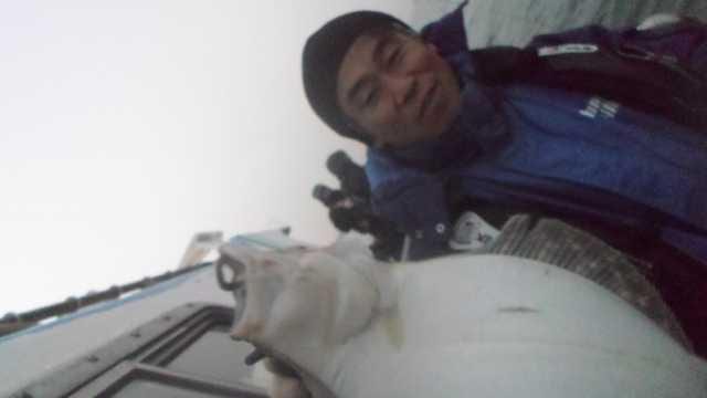 11월29일 조항 사진 2