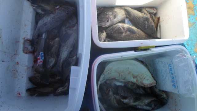 30일 단체조항 사진 1