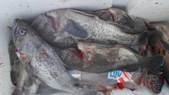 30일 단체조항 사진 12