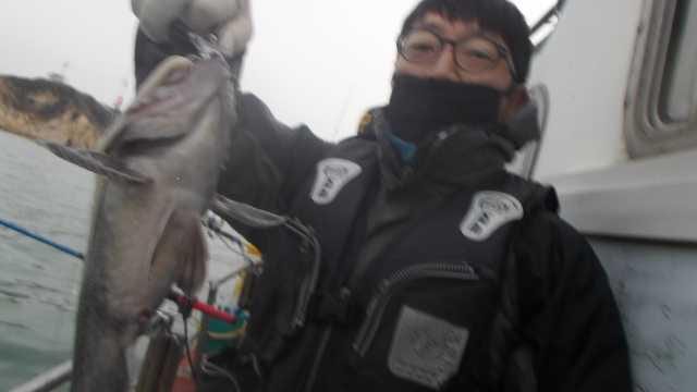12월1일 조항 사진 7