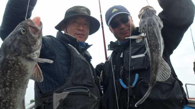 28일6분 굿조항 사진 4