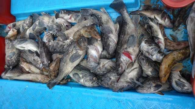 28일6분 굿조항 사진 1