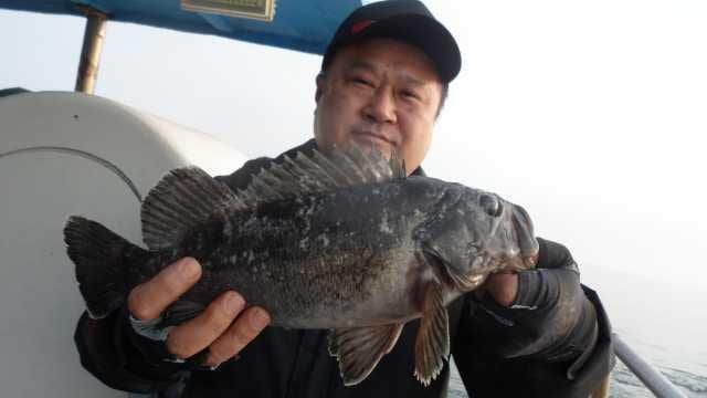 12일 조항 사진 5